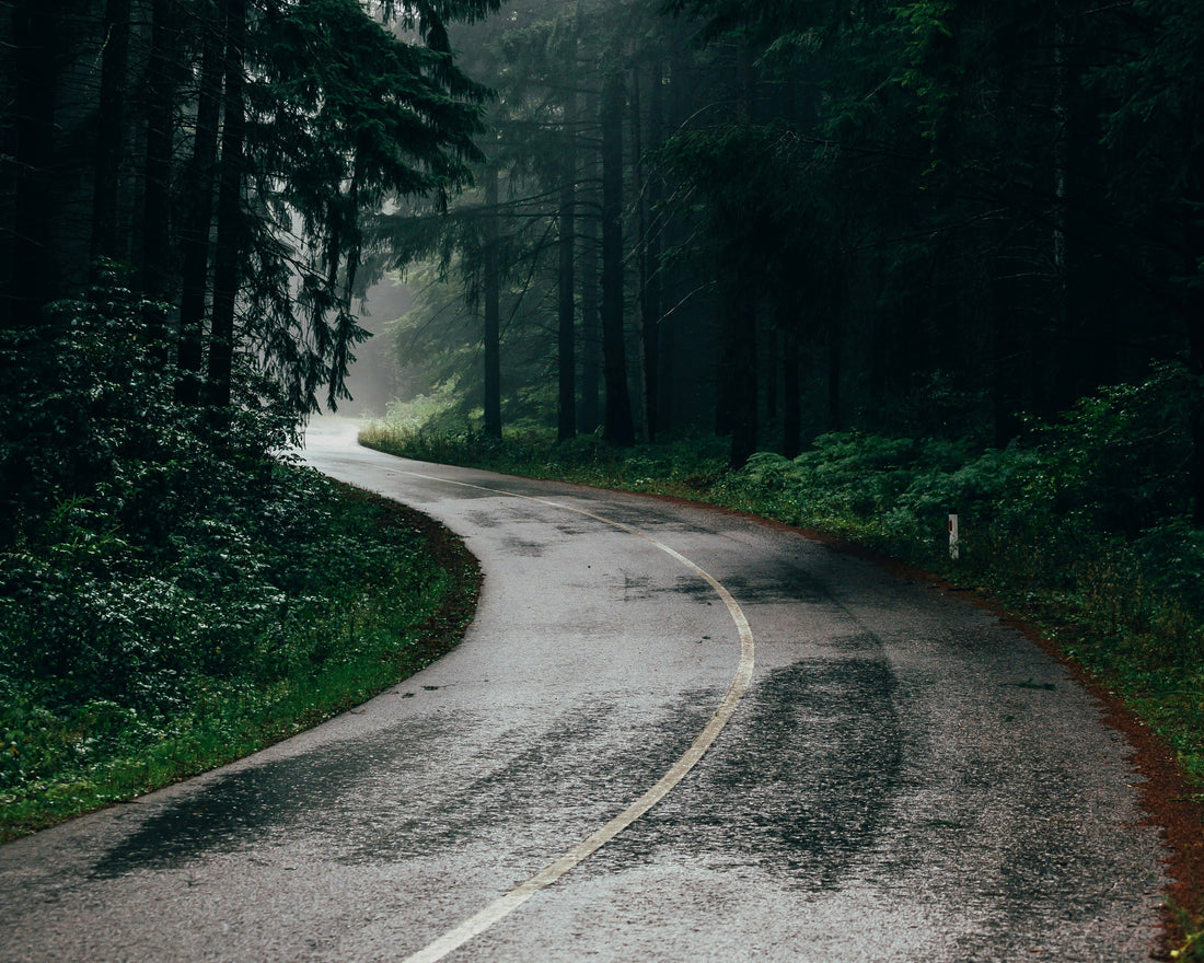 Springtime Odors? How to Freshen Your Home with PuroAir Air Purifiers