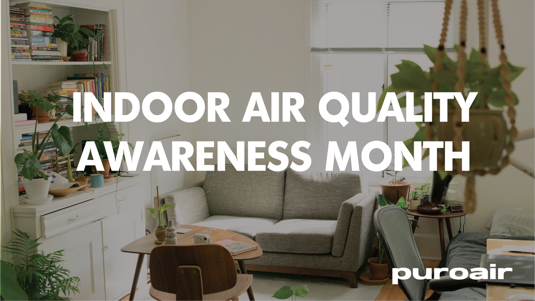 Indoor Air Quality Awareness Month: What You Don't Know About Your Home's Air Could Be Harming Your Health