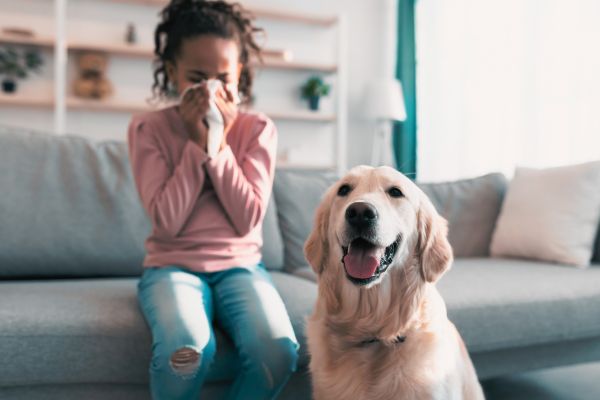 Child sneezing with allergies next to dog