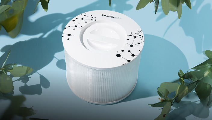 puroair 240 replacement air filter on blue background with house plants