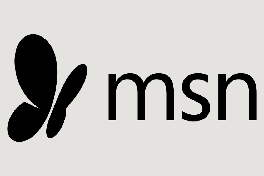 MSN Logo Large