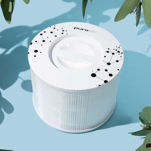 The Essential Role of Activated Carbon in Air Filters