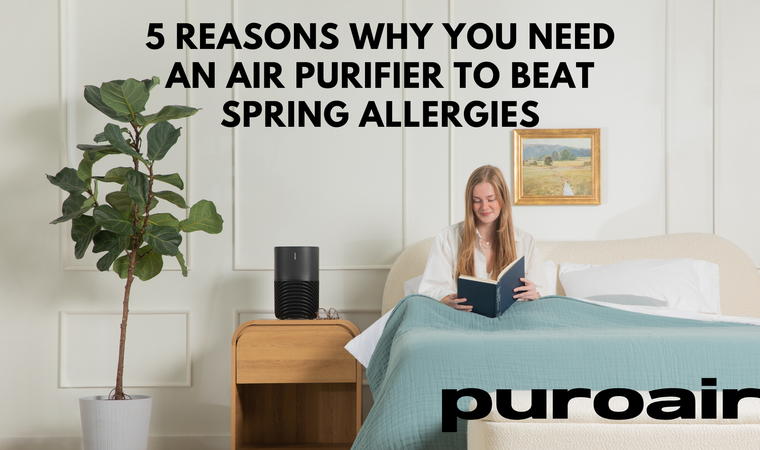 5 Reasons Why you Need an Air Purifier to Beat Spring Allergies