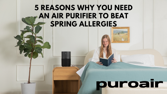 5 Reasons Why you Need an Air Purifier to Beat Spring Allergies