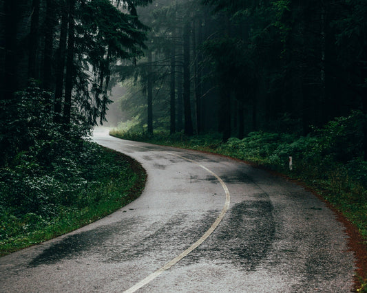 Springtime Odors? How to Freshen Your Home with PuroAir Air Purifiers