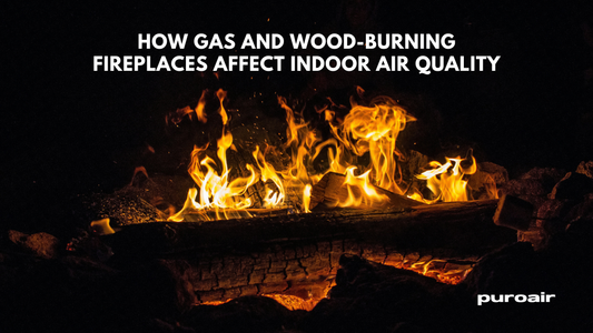How Gas and Wood-Burning Fireplaces Affect Indoor Air Quality