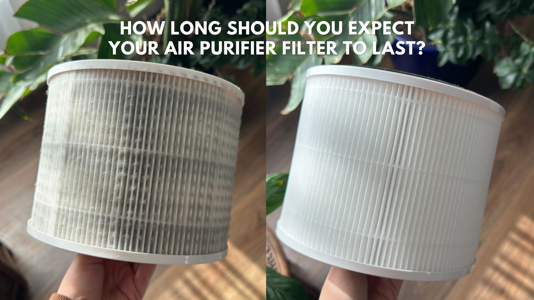 dirty puroair 240 filter and new 240 filter