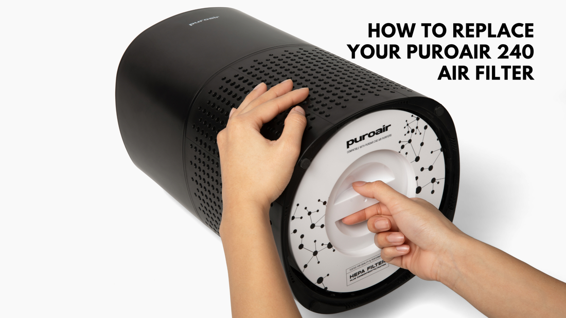 puroair 240 purifier and filter being removed