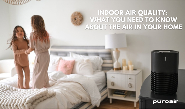 Indoor Air Quality: What You Need to Know About the Air in Your Home