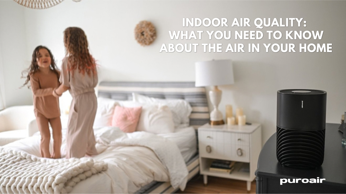 Indoor Air Quality: What You Need to Know About the Air in Your Home