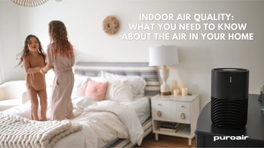 Indoor Air Quality: What You Need to Know About the Air in Your Home