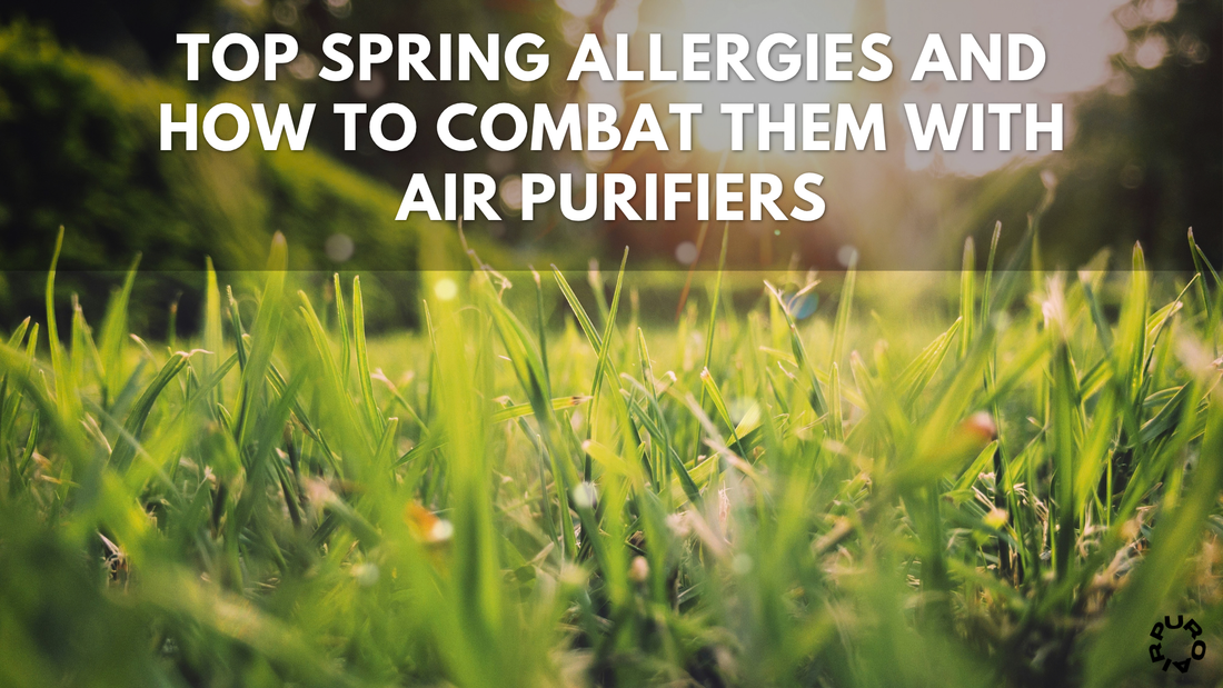 The Top Spring Allergies and How to Combat Them with Air Purifiers