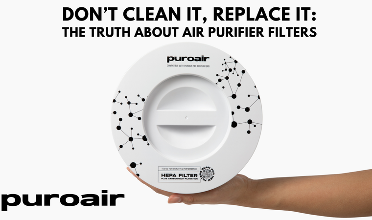 Don’t Clean It, Replace It: The Truth About Air Purifier Filters