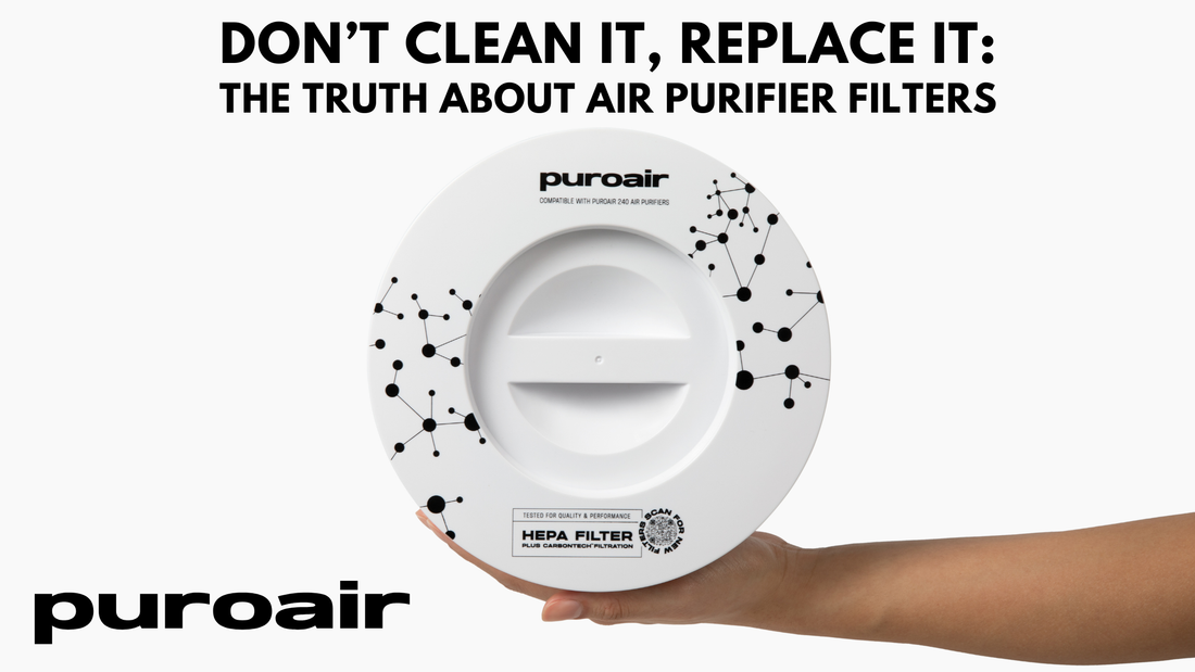 Don’t Clean It, Replace It: The Truth About Air Purifier Filters