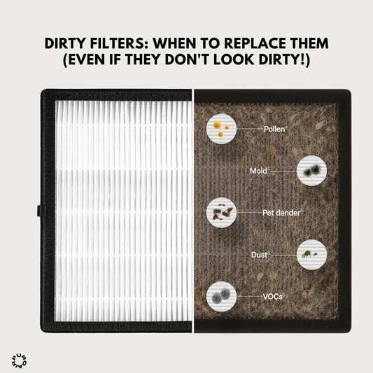 Dirty Filters: When to Replace Them (Even if They Don't Look Dirty!)