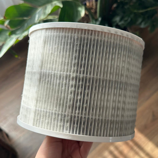 Dirty Filters: When to Replace Them (Even if They Don't Look Dirty!)