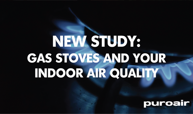 What the Latest Stanford Research Reveals About Gas Stoves and Your Indoor Air Quality
