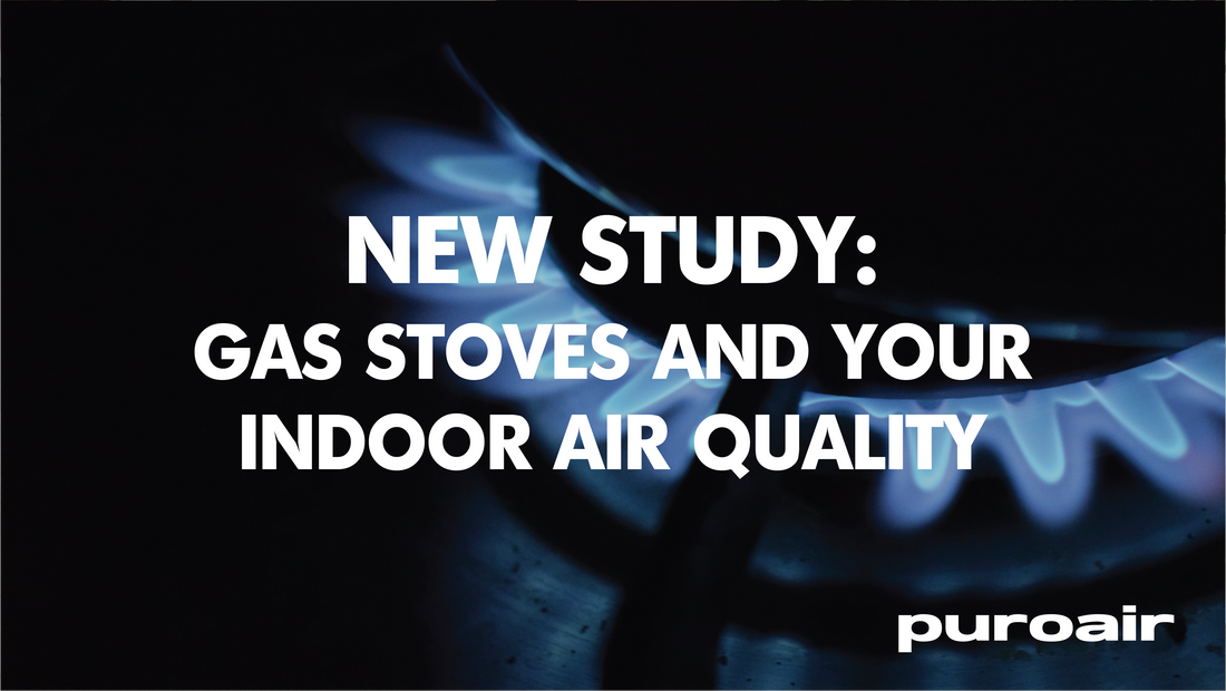 What the Latest Stanford Research Reveals About Gas Stoves and Your Indoor Air Quality