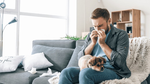 Allergy season can be more manageable with an air purifier