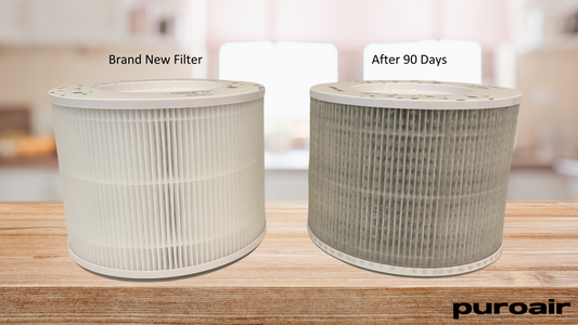 How Long Should You Expect Your Air Purifier Filter to Last?