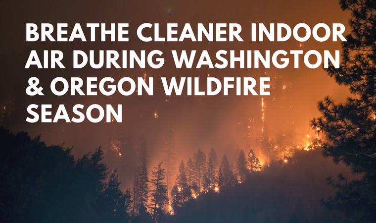 Wildfire Smoke Is Affecting Oregon and Washington: Here's How to Keep Your Indoor Air Cleaner