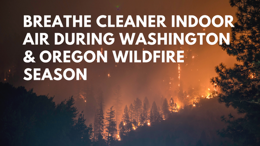Wildfire Smoke Is Affecting Oregon and Washington: Here's How to Keep Your Indoor Air Cleaner
