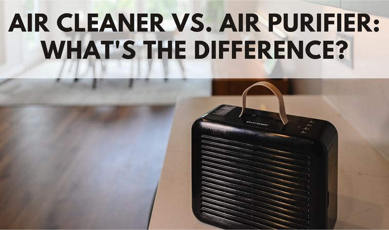 Air Cleaner vs. Air Purifier: What's the Difference?
