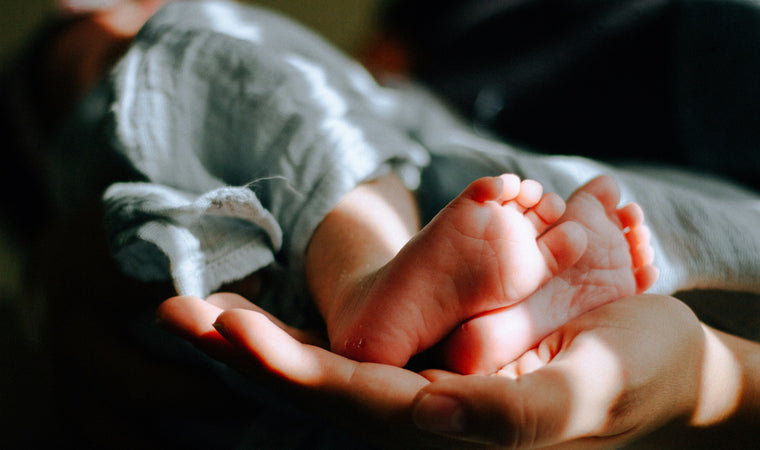 Why Every Mom Needs an Air Purifier: Protecting Your Little One's Health with the PuroAir 240