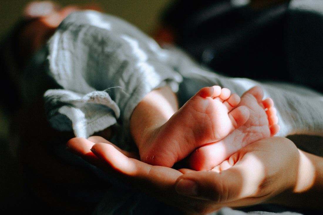 Why Every Mom Needs an Air Purifier: Protecting Your Little One's Health with the PuroAir 240