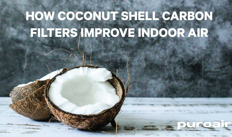 How Coconut Shell Carbon Filters Improve Indoor Air Quality