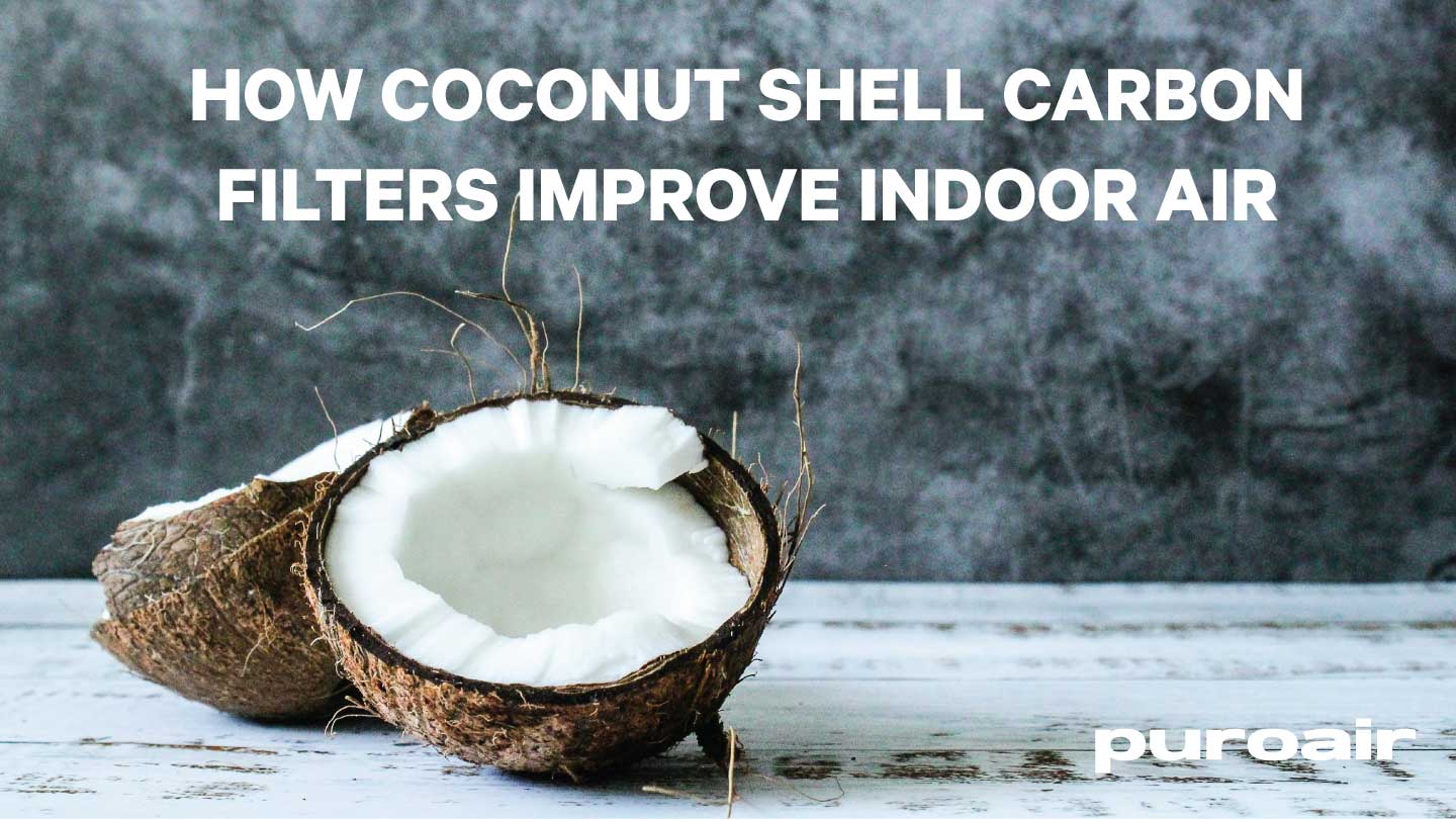How Coconut Shell Carbon Filters Improve Indoor Air Quality – PuroAir
