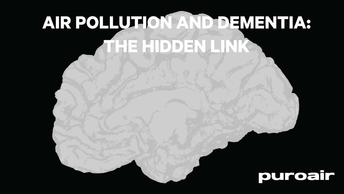 Air Pollution and Dementia: Discovering the Hidden Link