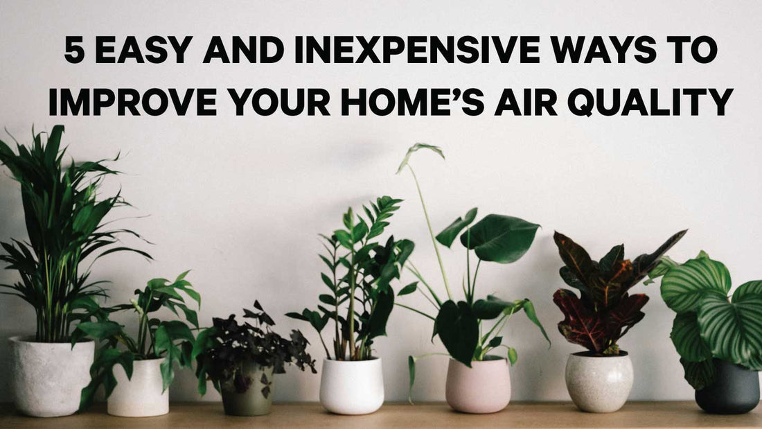 5 Easy and Inexpensive Ways to Improve the Air Quality of your Home