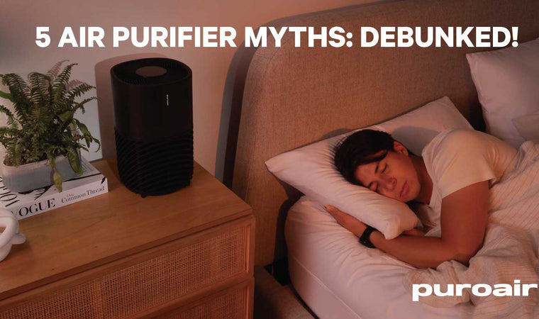 Top 5 Air Purifier Myths—Debunked!