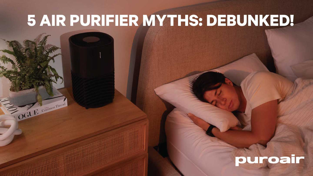 Top 5 Air Purifier Myths—Debunked!