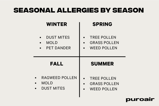 The Sneezing Symphony: Navigating Top Seasonal Allergies Year-Round