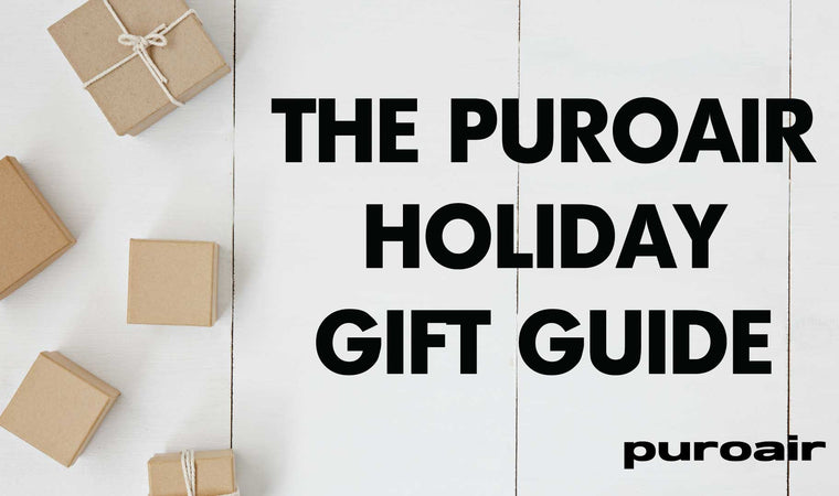 PuroAir Holiday Gift Guide: Give the Gift of Clean Air