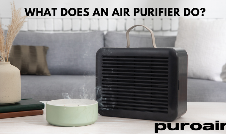 What Does an Air Purifier Do?