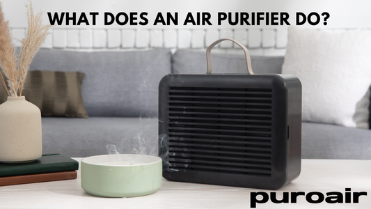 What Does an Air Purifier Do?