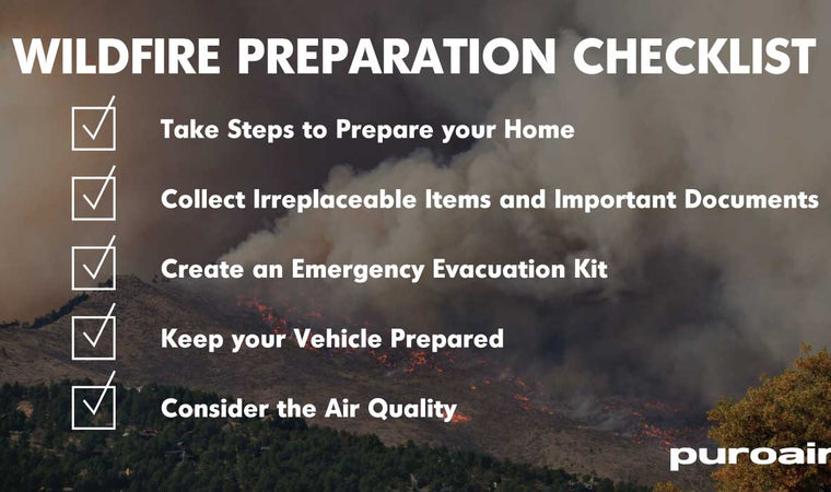 PuroAir's Guide To Wildfire Preparation