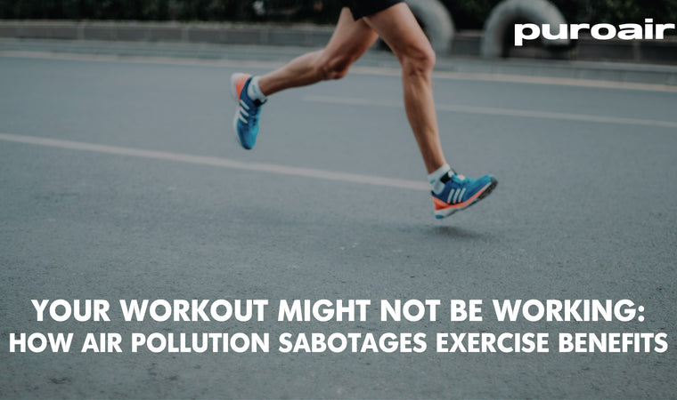 Your Workout Might Not Be Working: How Air Pollution Sabotages Exercise Benefits