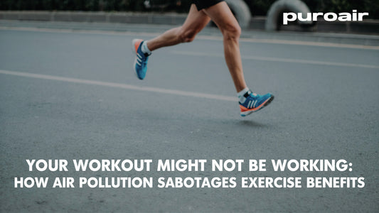 Your Workout Might Not Be Working: How Air Pollution Sabotages Exercise Benefits