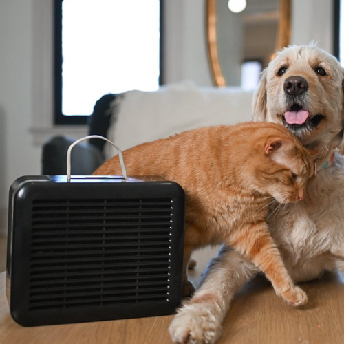 puroair 100i purifier with cat and dog