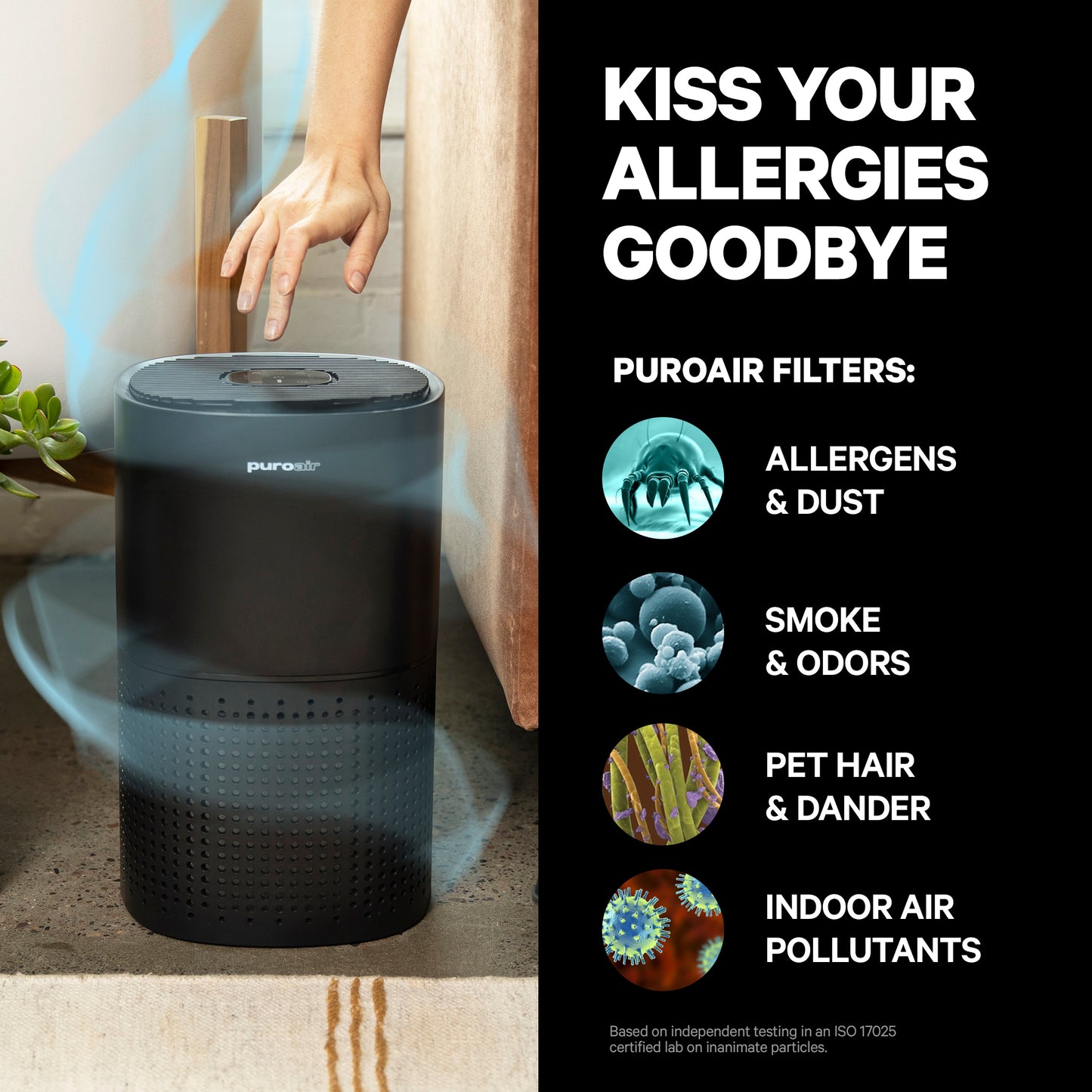 PuroAir 240 Air Purifier Kiss Your Allergies Goodbye infographic