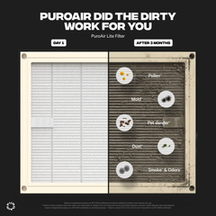 PuroAir Lite HEPA Replacement Filter
