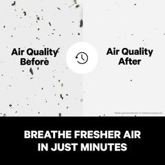 Breathe Fresher Air In Just Minutes with before and after air particles