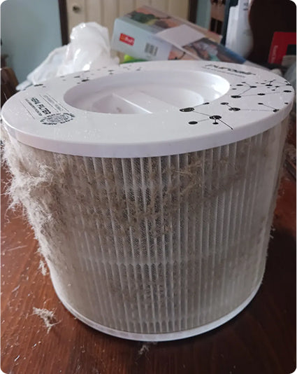 PuroAir replacement filter