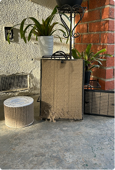 Tanya