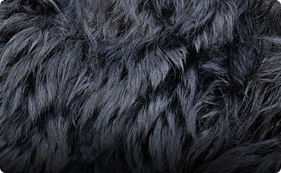 closeup image of animal fur representing pet dander