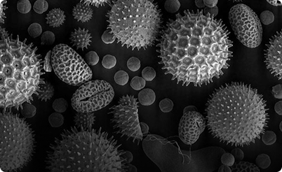 image of microscopic air particles